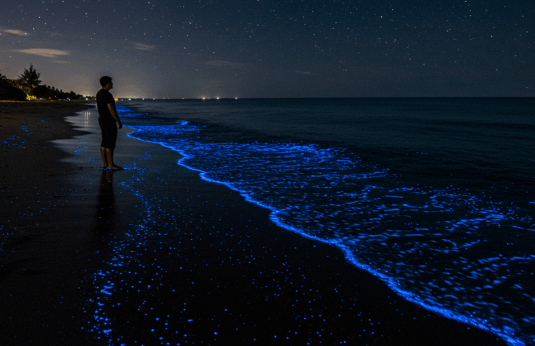 Unveiling the Secrets of Bioluminescent Blooms